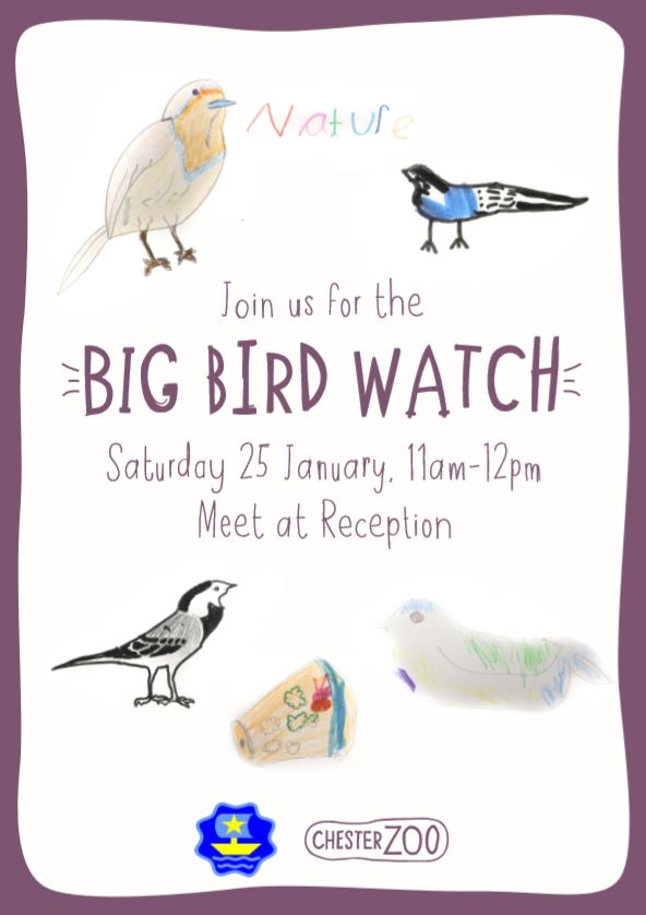 We're looking forward to taking part in the <a href="/RSPB_Learning/">RSPB Learning</a>
 #BigSchoolsBirdwatch this weekend. Our <a href="/LearnatCZ/">Chester Zoo Learning</a> Family Wildlife Club will be leading activities between 11 and 12 at school on Saturday morning.