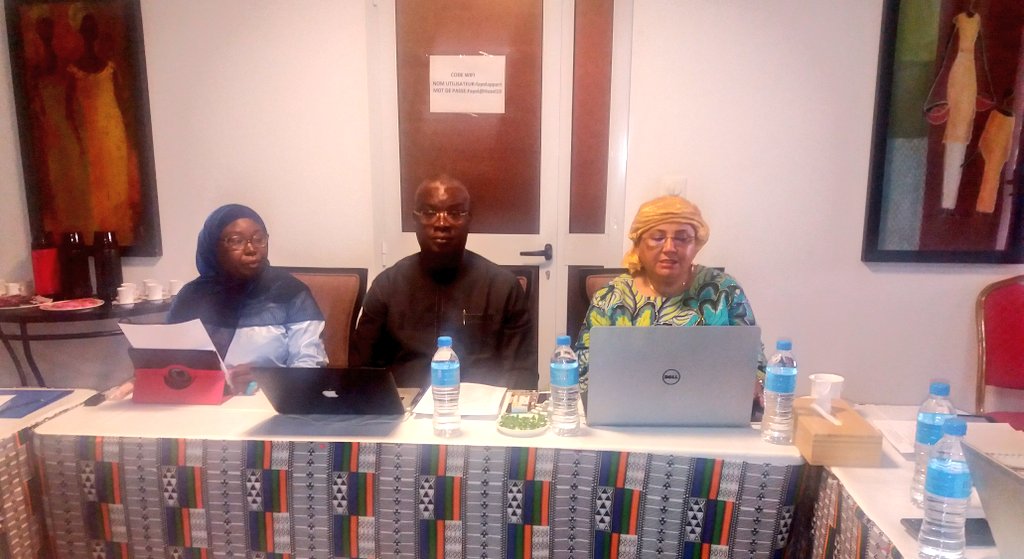 NigerPnlp's tweet photo. Du 20 janvier au 3 février se tient à Niamey l'atelier de revue à mi-parcours du Plan Stratégique National du Programme National de Lutte contre le Paludisme, en présence de Professeur Ibrahima Seck, Consultant international. #ZeroPalu 2017-2021 #PNLP #Niger https://t.co/eA5fUhacFh