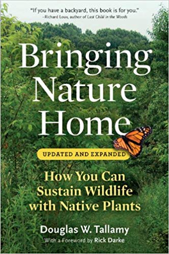 Why plant native? Doug Tallamy explains it best "...native insects cannot, or will not, eat alien plants. When native plants disappear, the insects disappear, impoverishing the food source for birds and other animals."