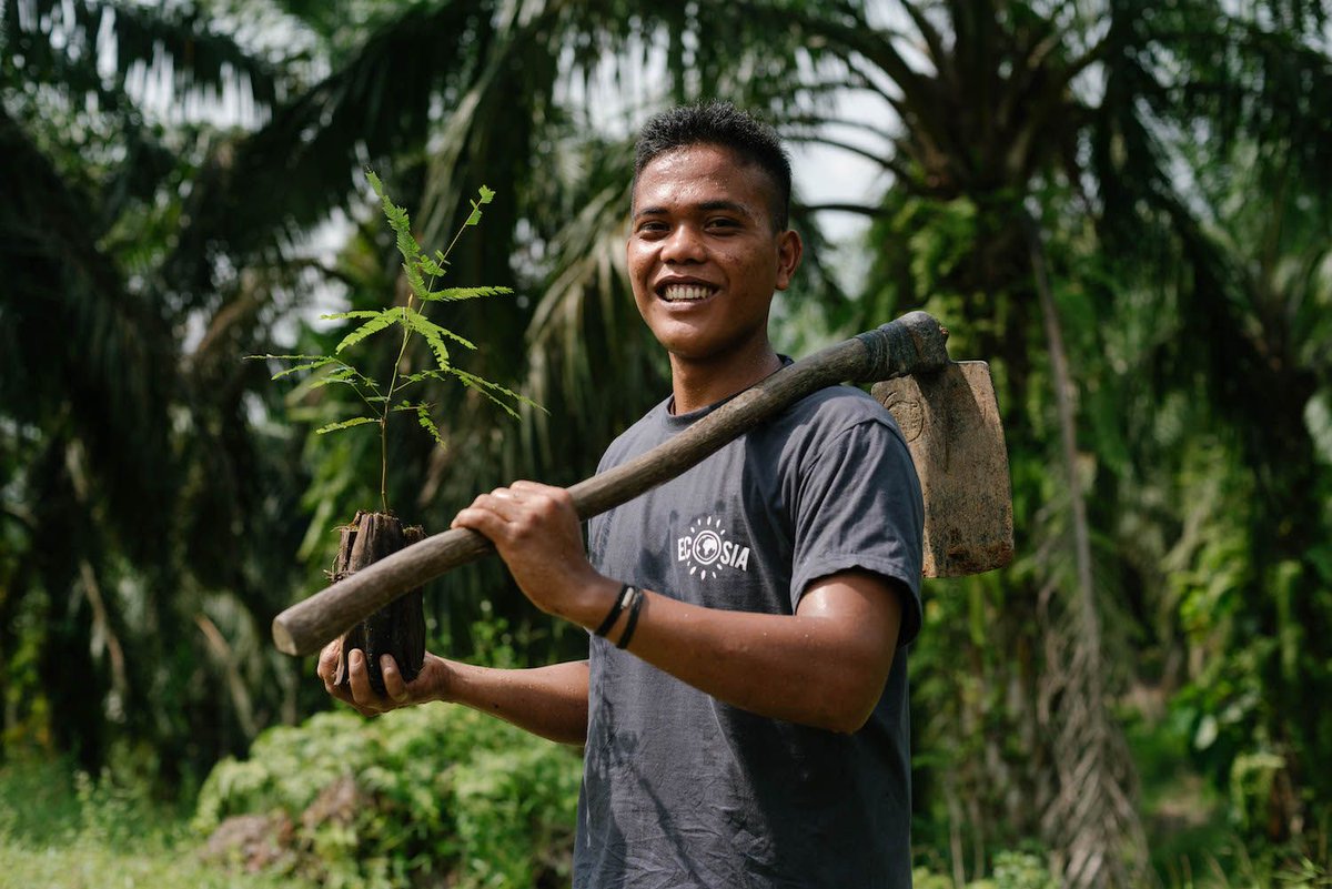 theplanetshine1's tweet photo. . @Ecosia has declared 2020 the Year of the Forest. Find out more about the work they're doing to plant trees around the globe and how you can get involved. #YearOfTheForest #Plant4Change https://t.co/ldmHQzZAs7 https://t.co/FTsv0Fn5OD
