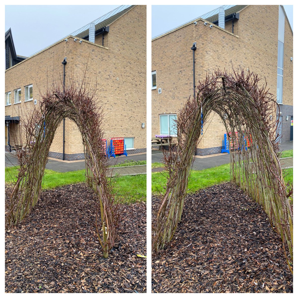 Cut back some Willow tunnels ready for print growth ✂️✂️  #Maslinjones 
#MiltonKeynes 
#garden 
#gardener 
#gardening 
#gardenmaintenance 
#hedges
#hedgecutting 
#Stihlhedgecutter
#hedge
#prune
#trim
#hedgework  
#transformation 
#Willow 
#willowtunnels