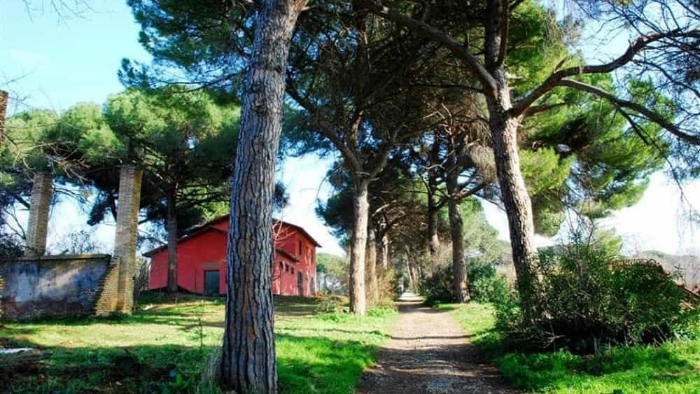 destinazroma's tweet photo. Parco #Aguzzano, tra potenzialità e criticità: 
@EnteRomaNatura sposa il dossier dei cittadini https://t.co/8WsyBnSbQV
@Mau_Gubbiotti / @romatoday #Roma https://t.co/uHOrsUmz1Y