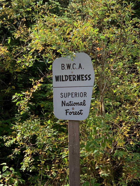 Bwca.com tweet media