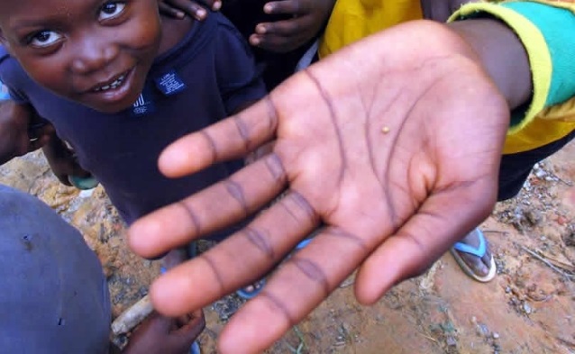 KidsOurFutureGh's tweet photo. If you give money to street child beggars, the money goes to their “masters” and does not serve the children. It only makes the industry bigger, more attractive and more lucrative for traffickers.

#KidsOurFuture
#StopViolenceAgainstChildren
#ReleaseTheKidsBudget https://t.co/vjRYnRfkzu