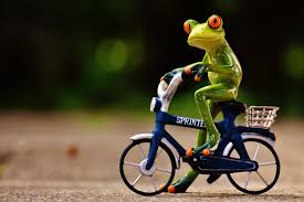 AsktheChameleon's tweet photo. Working on exciting content &amp; a personal invitation to our event with @DerbyshireIS ready for #Derbados2020 #cycling challenge with @AnnabelsAngels - #200kmforcharity - who's in?🚲 https://t.co/rmeRAO68Wl