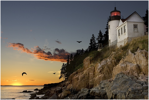 AutoShippingG's tweet photo. Auto shipping group can give you the best shipping quote for moving your vehicle anywhere in the United states. #travel #transport #trip #vacation #holiday #autoshipping #visiting #tourism #travelling #AutoShippingMaine https://t.co/fAfBwm8EpR https://t.co/Srj6Vza5P7
