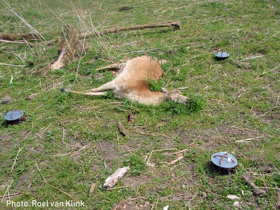 @BirdLifeEurope @WWFEU