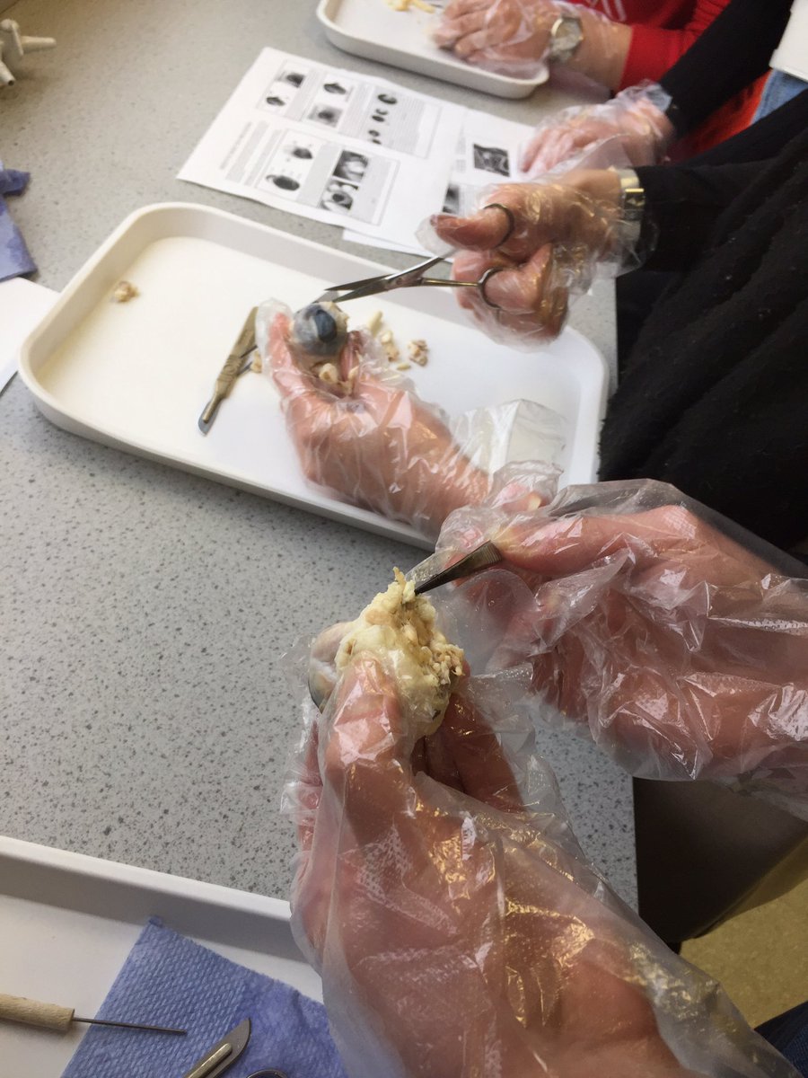 Longsands Science tweet media