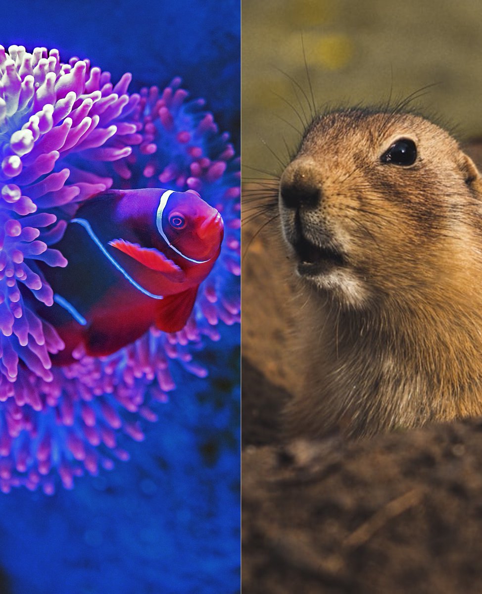 As we expand, the plan is white wines for ocean conservation, reds for the land! #CheerstoChange

(Rosé is currently slotted for ocean.)