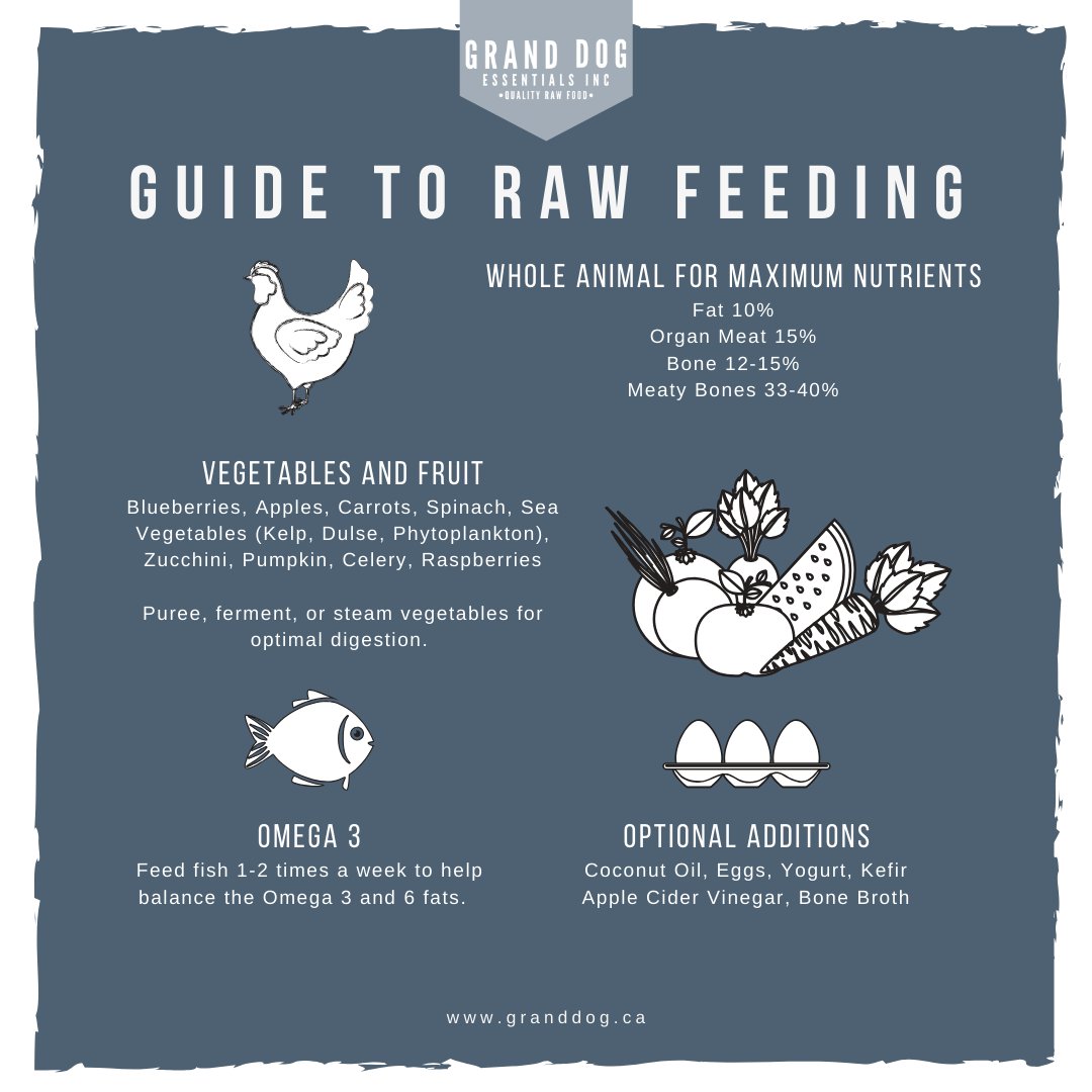 GrandDogInc's tweet photo. The building blocks to a #rawdogfood diet. For quality food to help you on your raw feeding journey, check out our website https://t.co/Qhjl5rl9yr
#granddograw #rawfeeding101 #yegdogs #yycdogs #rawfeeding101 #yeg #yyc #dogfood #yegeats #yeglocal #yyclocal #yyceats #feedfresh https://t.co/lcX6O4XE0A