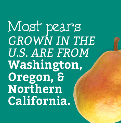 EatSmartNY's tweet photo. #DYK that pears are a good source of fiber and Vit. C or that pears have been growing since 2000 B.C?!?!  🤭

#WednesdayWisdom https://t.co/WpkxDWtWDX