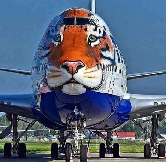 Tolbis1's tweet photo. @Lollylarry1 I am going to USA this weekend with Amotekun airline https://t.co/mX5KP59RGa