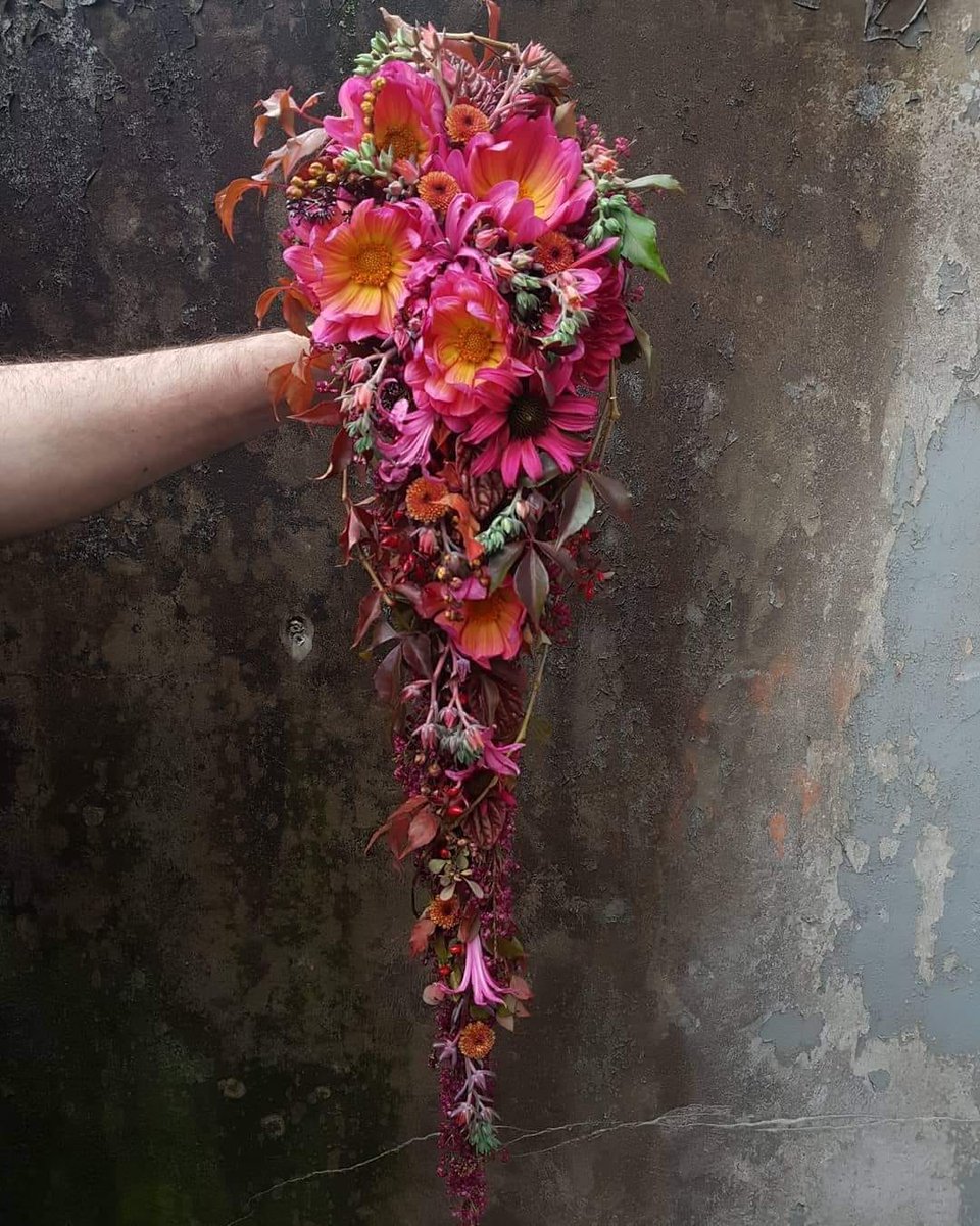 Nog 3 dagen te gaan om jouw tickets te halen voor de Florist meetup met een gezellige borrel en een demonstratie van Jimmy Englund!

Kom jij ook?

Info en tickets:
facebook.com/events/s/bloem…

 #floristmeetup #jimmyenglund #bergroses