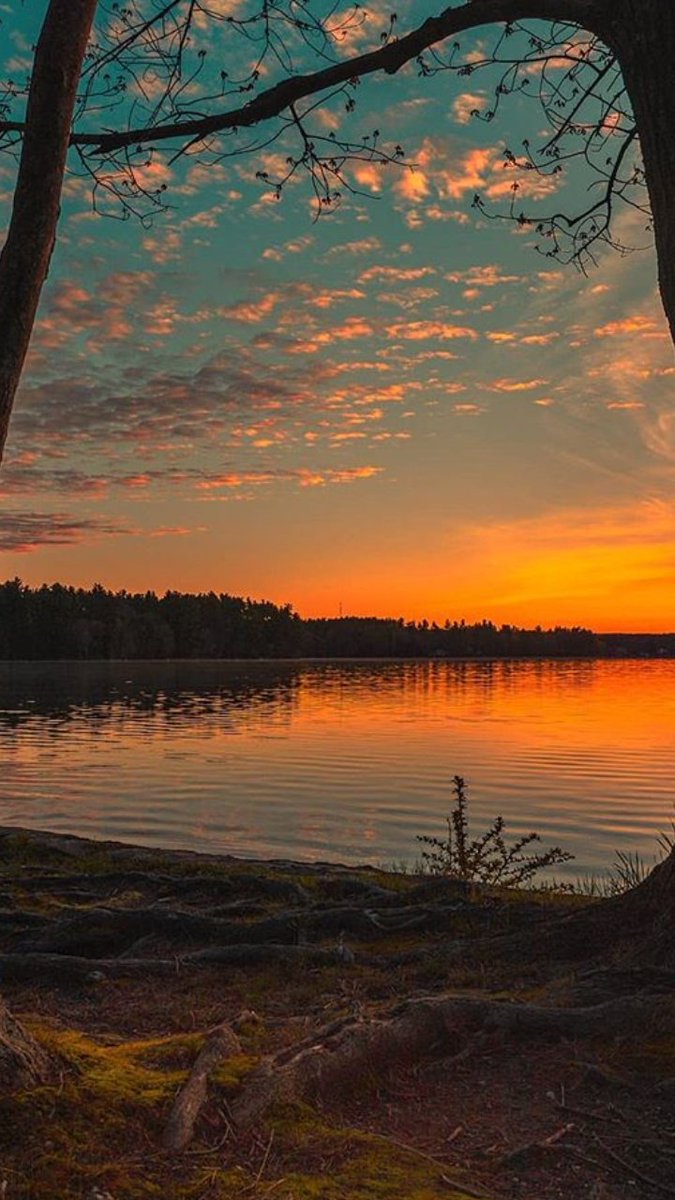 «Por costumbre dicen:
"buenos días"
Sin embargo yo a ti sólo puedo decirte buen día; es mi excusa perfecta para cada mañana hablarte y agradecer a la vida el ver la luz reflejada en tus ojos y mi vida futura plasmada en ellos.
No te levantes, a penas amanece».