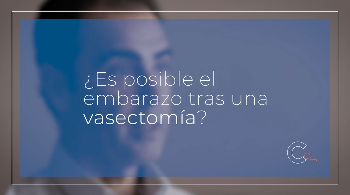 Crea Valencia tweet media