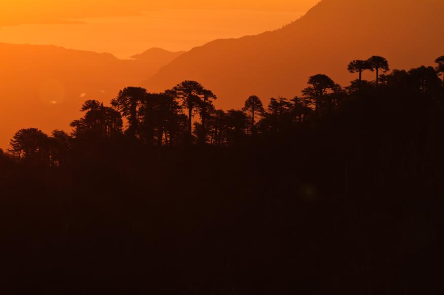 DatosdePucon's tweet photo. Los atardeceres en #Pucón son magia pura.

#VisitaPuconAhora
#Pucon2020

Turismo en Pucón 
@turismoenpucon https://t.co/tHU3IbicOf
