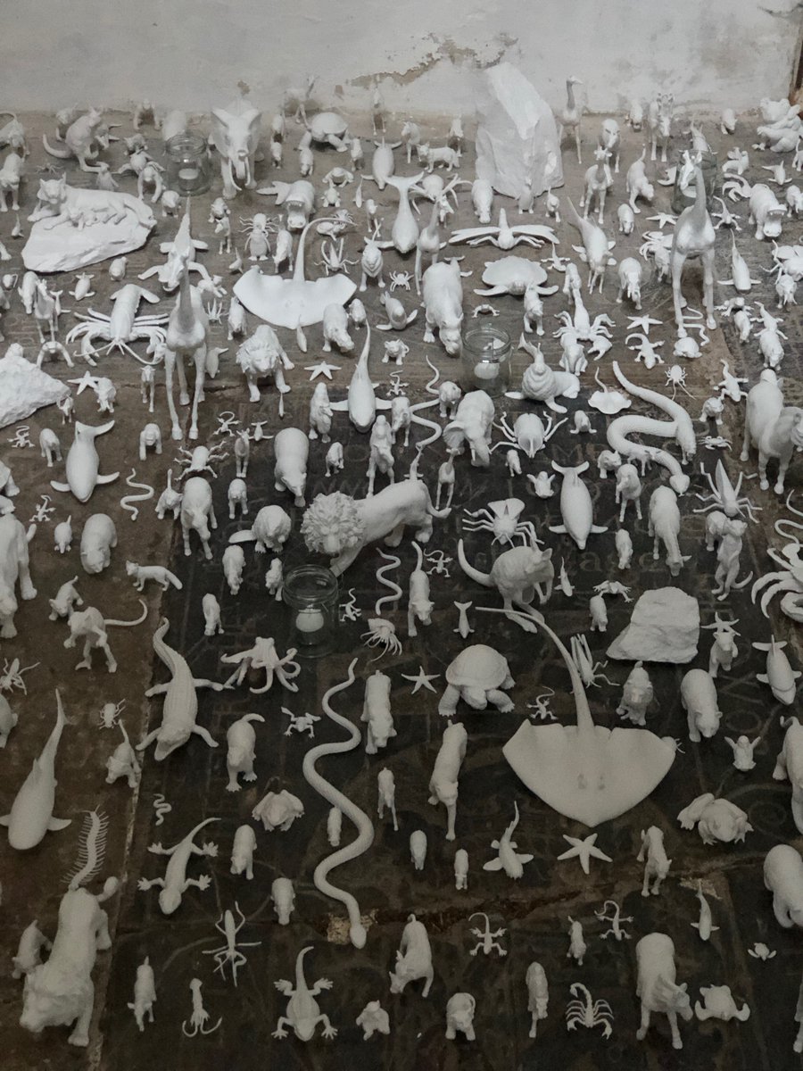 Sarah Strachan tweet media