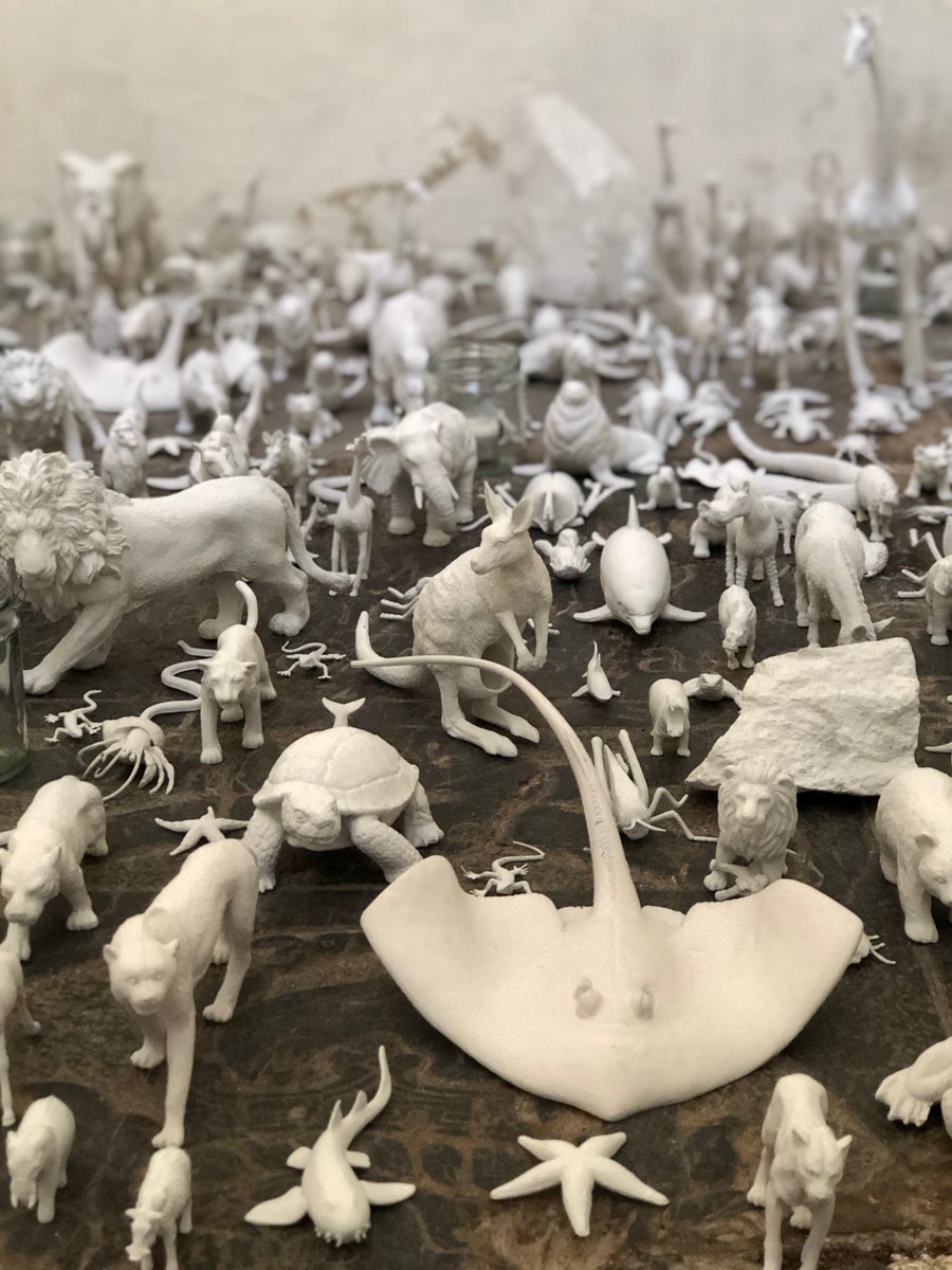 Sarah Strachan tweet media