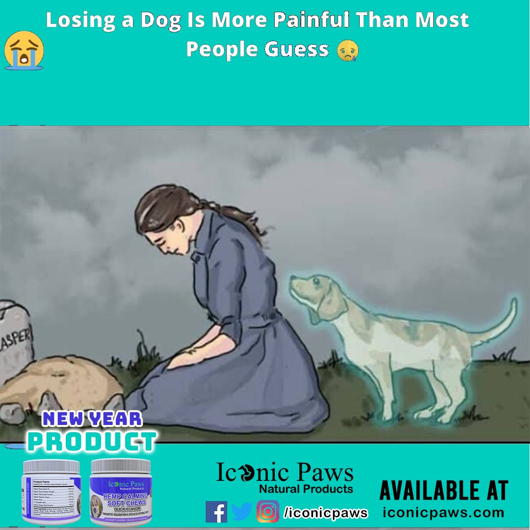 IconicPaws's tweet photo. True 😔😔😌
If you feel the pain hit like 👍

🔵 Make your #doggy healthy and active all the time. 

✅ Visit 👉 https://t.co/dQufRQArp3 for #healthydog products ❤ 

#mydogmylove #imissmydog #mydog #lovedog #lovedogs #iconicpaws #bestdogfood #bestdogsfood https://t.co/H5jLFmtHy7
