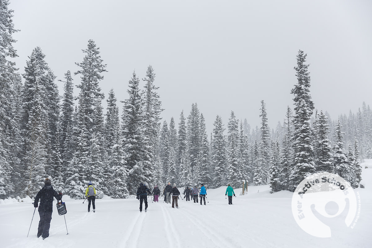 EverActiveAB's tweet photo. Attending #EASSTF 2020? Be sure to pack your winter gear! Take advantage of the beautiful outdoors surrounding @FairmontCLL. Also don't forget your dancing shoes, you need to be prepared to bust a move at Friday's Banquet! https://t.co/cCGSpx6wef