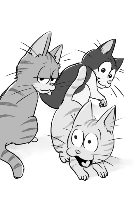 へそさんのNEKO可愛かった～ 
