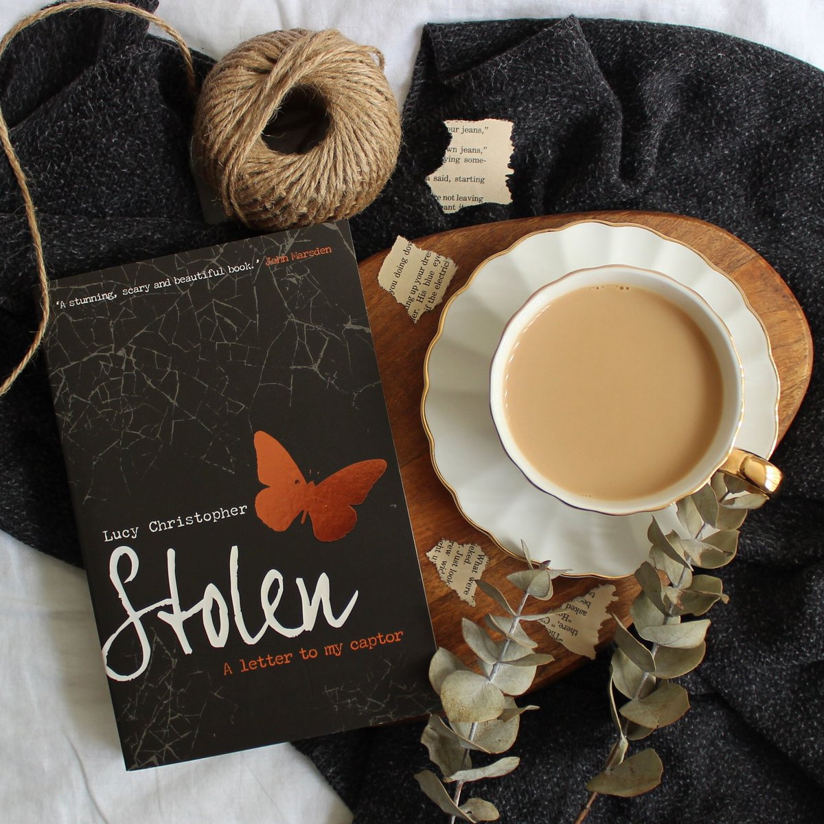 _bookishmum's tweet photo. 7th read for 2020 😄
#lucychristopher #stolen
#currentlyreading https://t.co/A7wh1oDloH