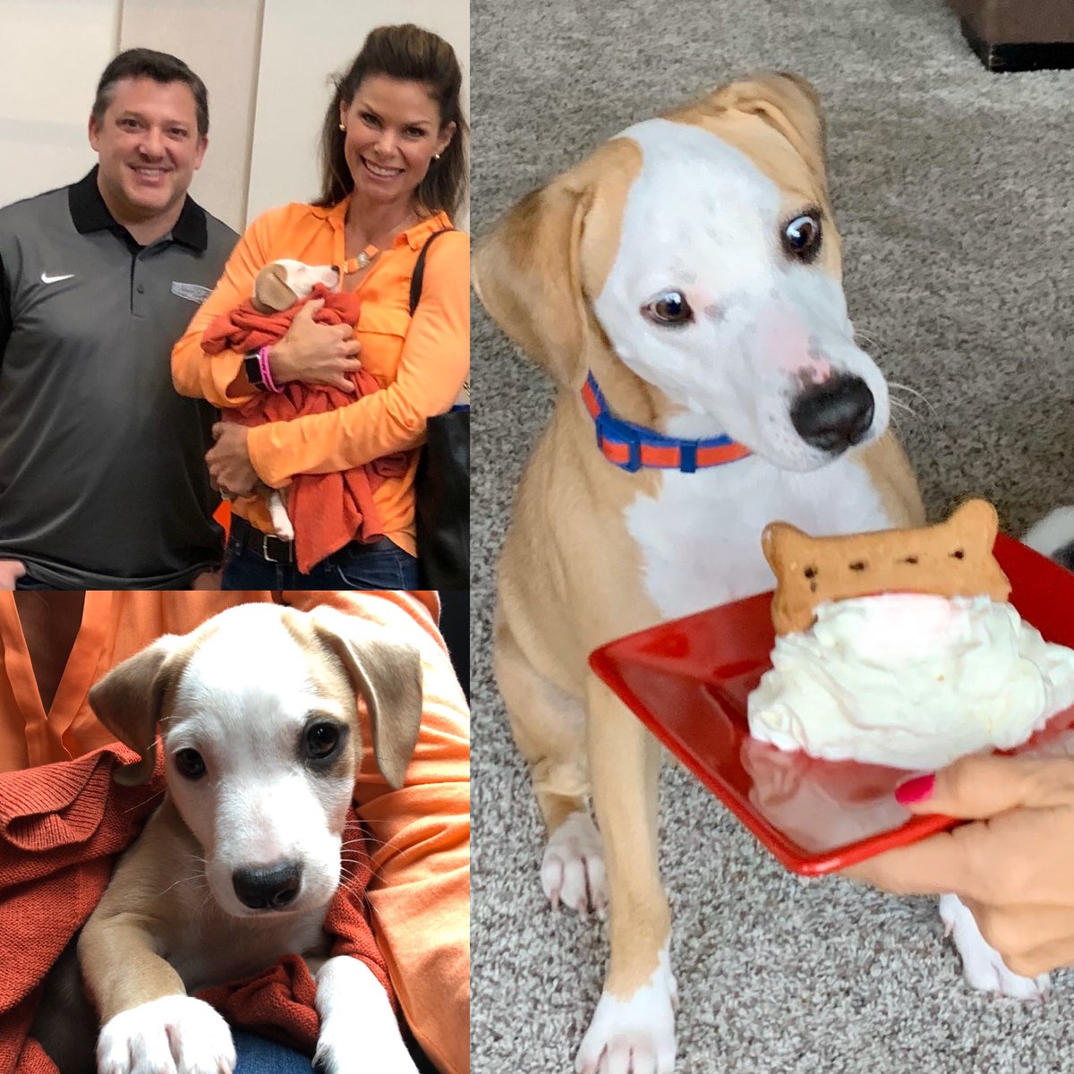 Our little Smokey is turning 1 today!! I met him at 8 wks old while at an appearance with ‘Smoke’ <a href="/TonyStewart/">Tony Stewart</a>. Thanks to Pixelfund Shelter for nursing him &amp; his surviving siblings back to health! #SaveThemAll