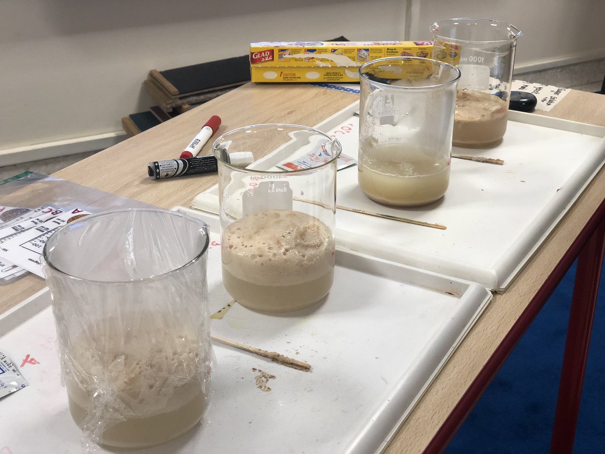 You know what Yeast does right? You know what we use it right? But is it living or non-living? Which of the 7 life processes does it demonstrate? How? So many questions! #JPS6E we’re fascinated by it. Time for some bread making methinks 🥖 💪 #JPSscience