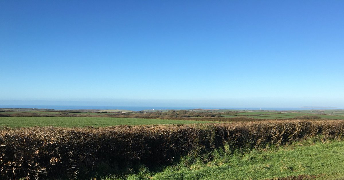 Hartland Peninsula tweet media