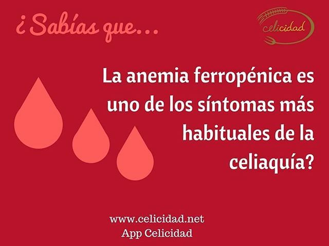 Celicidad tweet media