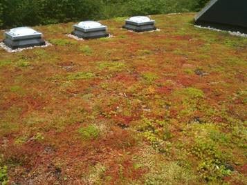 FirestonebpUK's tweet photo. #Firestone 's #RubberCover #EPDM roof membranes are ideal for use on residential projects with extensive #greenroofs. https://t.co/61lEkgGMih