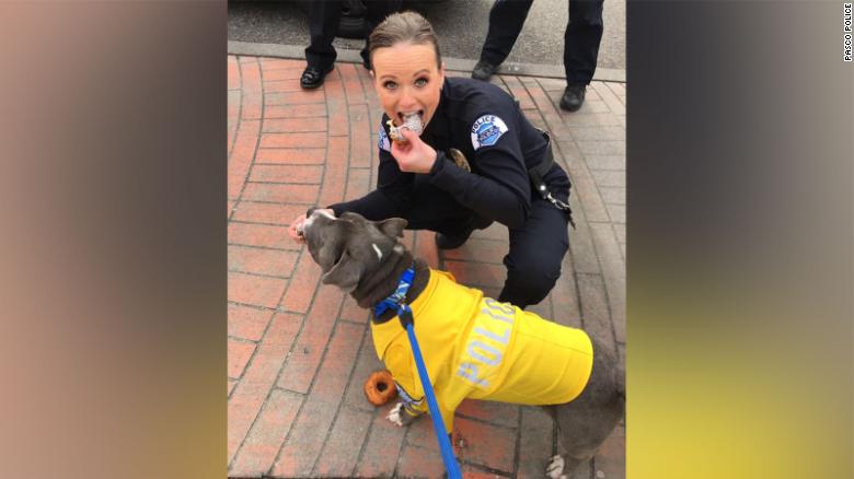 Diagnosed with an inoperable tumor causing him to be blind in one eye, Eddie, the rescue pup, only has six to 12 months to live. 

But, thanks to a foster home and a police force, Eddie's last months will certainly be memorable. He's become a police K-9. cnn.it/30M0dvz