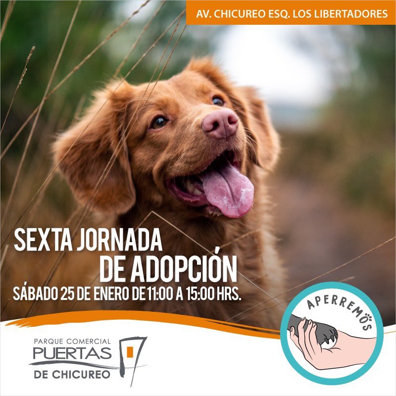 Este sábado 25 de enero, entre 11 y 15 hrs estaremos en Puertas de Chicureo con muchos perritos de todas las edades y tamaños en busca de un hogar. Todos rescatados del abandono en Colina. También recibiremos donaciones de alimento. #AdopcionResponsable #AdoptaCambiaUnaVida