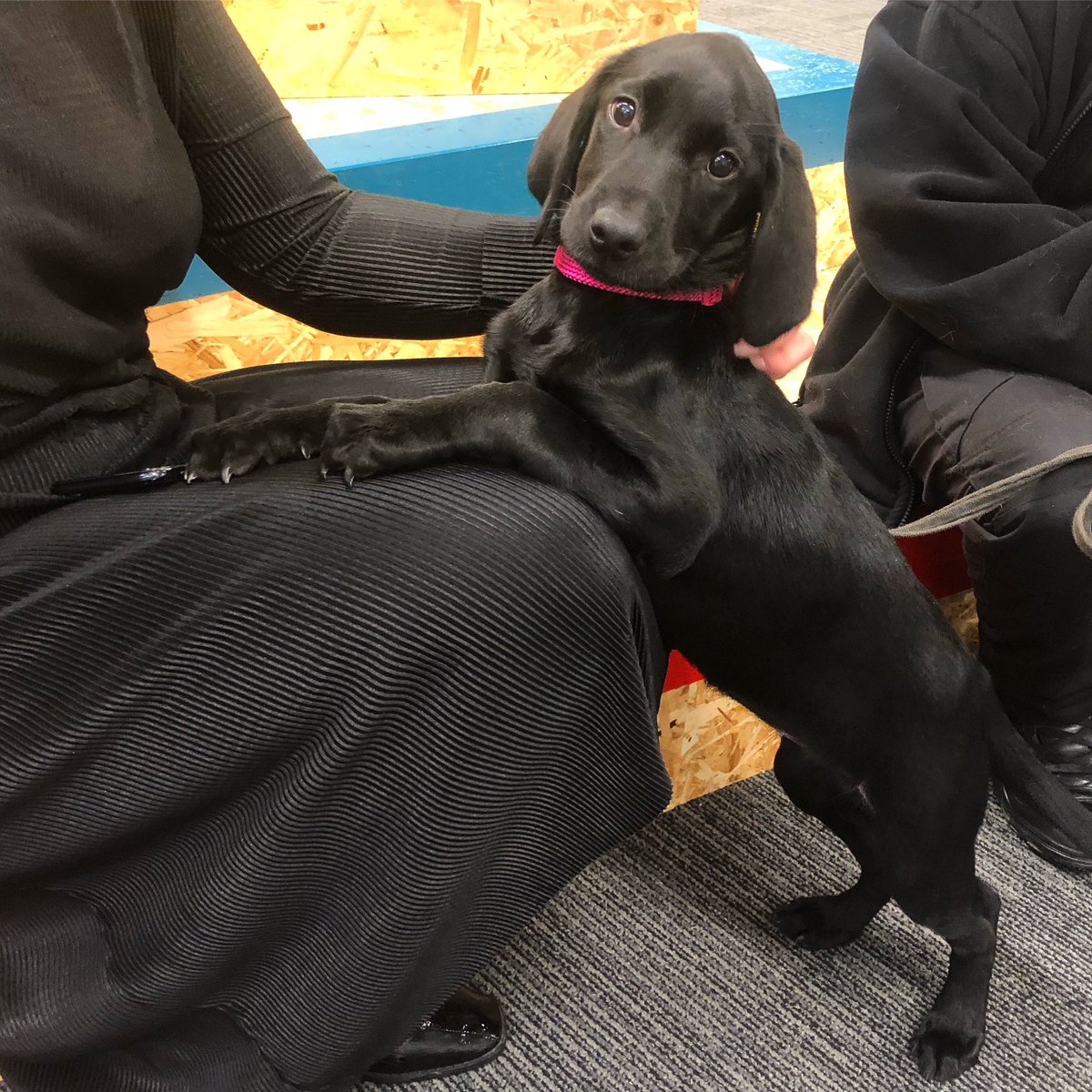 Imperial Events tweet media