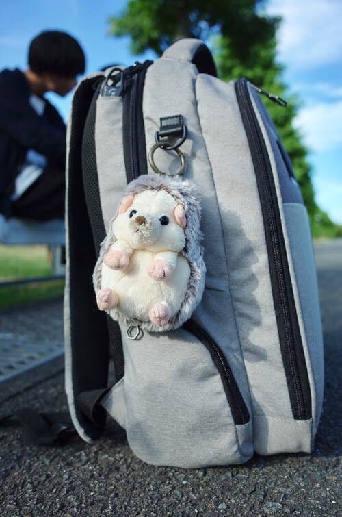 Alpha Guardians tweet media