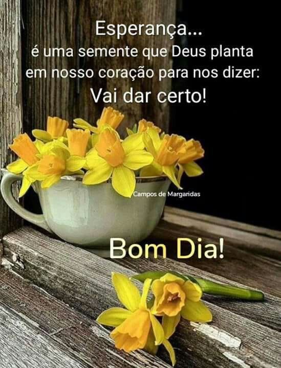 Monica Bulhões on Twitter: Monica Bulhões on Twitter: