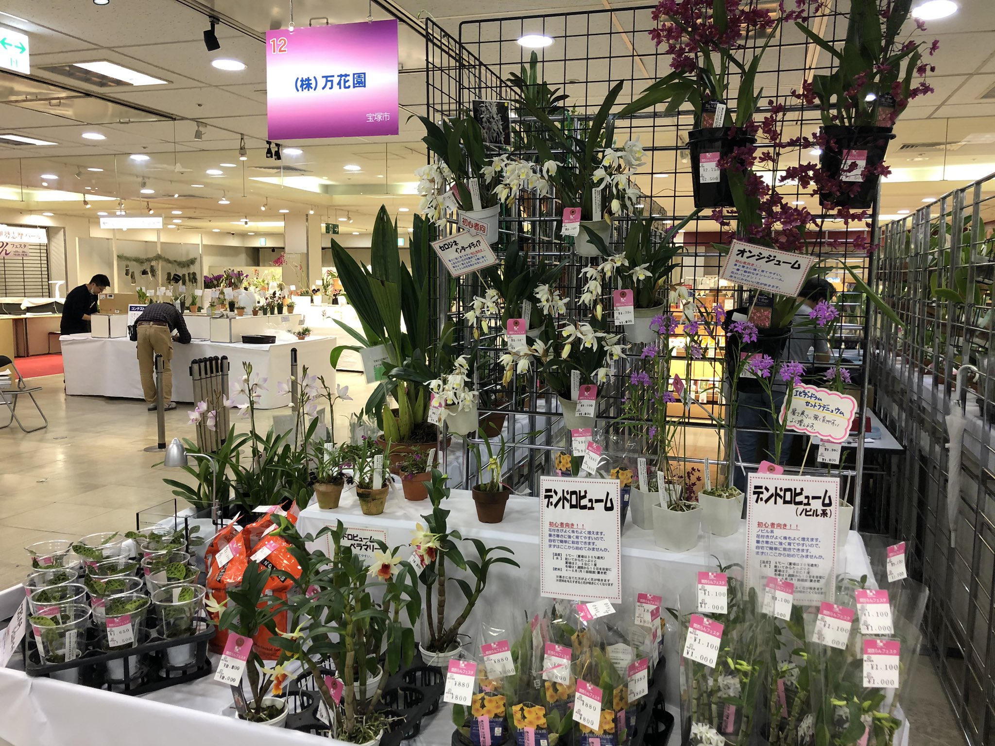 関西らんフェスタ Twitter Search Twitter