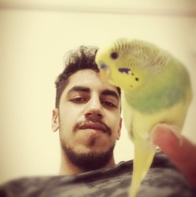 #YeniProfilResmi  kuşun daha best cool duruşu...