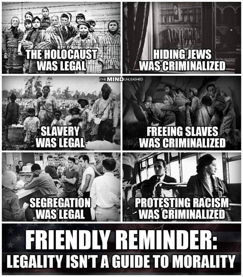 ArianaDMichaels's tweet photo. Just a small reminder! Even if it is legal, doesn’t mean it is right!

When we allow religion to dictate law, we see more harm than good

We have Separation of Church &amp; State for a reason!

GOP keeps trying to get their “religious freedom” back to discriminate

#VoteThemOut https://t.co/cOBmbtZdoK