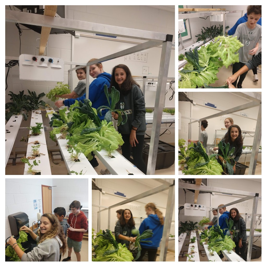 Ray Wu-Rorrer tweet media