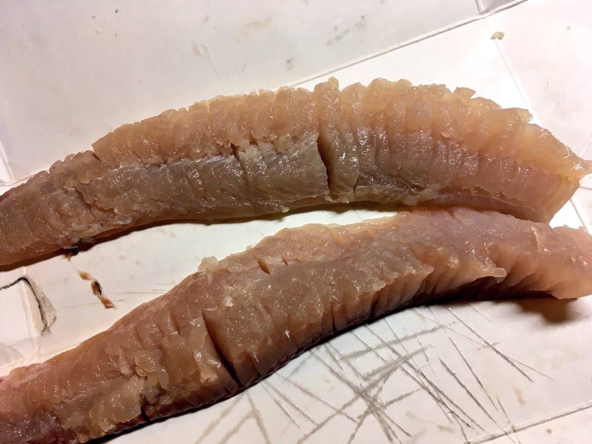 マツダミキオ もったいない料理人みっきー マルタウグイ 桜の季節に海から川へと登ってくる魚で 地元 神奈川の川でも例年いる 中学生の頃に採って食べたけど臭すぎて無理で 去年リベンジをしてみた これまでの経験や知識を元に 魚の臭み消し の