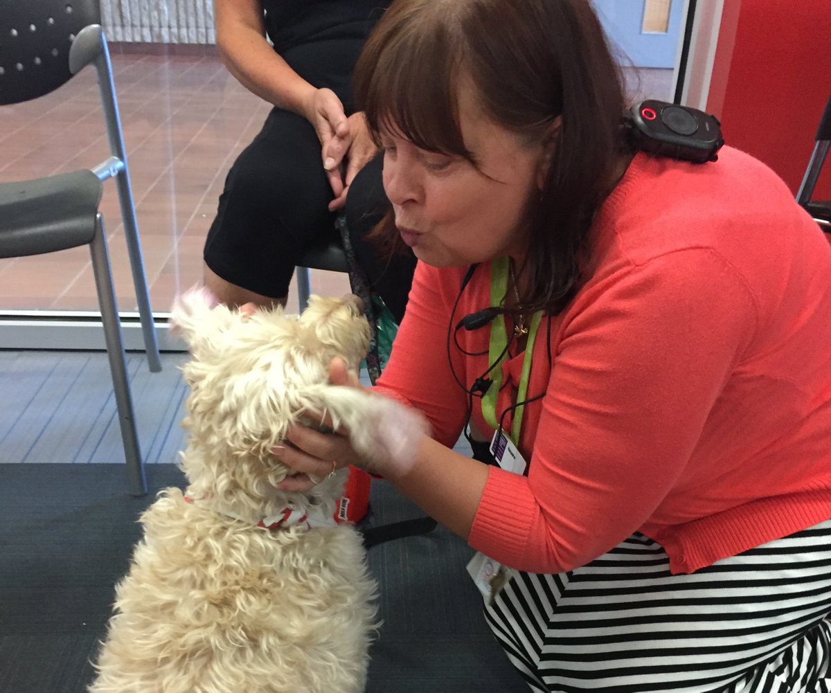 BramptonLibrary's tweet image. You&apos;ve got two more chances to catch the stress relieving magic of the @SJAPeel Therapy Dogs at the library!
They will be stopping by #GoreMeadowsBranch today and #SpringdaleBranch tomorrow (from 3:30 - 5:30pm)

ow.ly/POwe50xRyvP