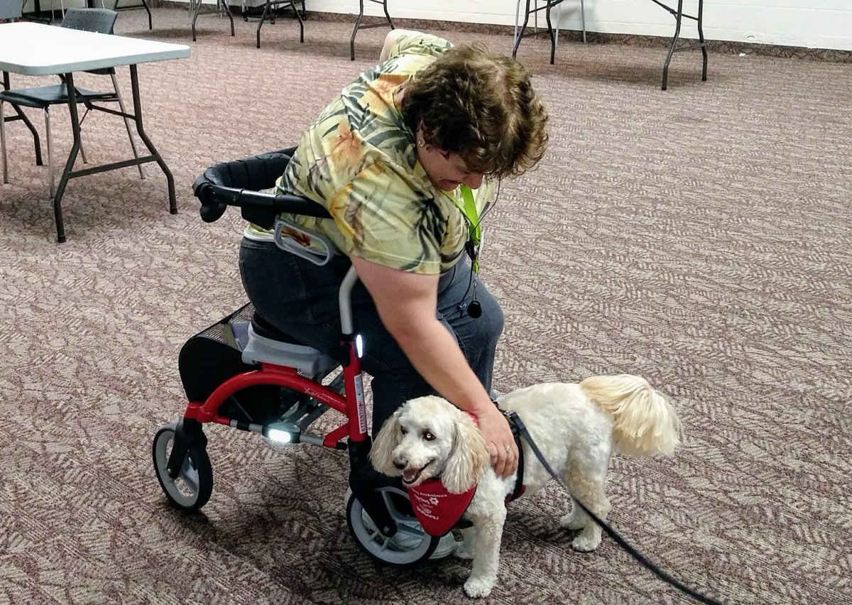 BramptonLibrary's tweet image. You&apos;ve got two more chances to catch the stress relieving magic of the @SJAPeel Therapy Dogs at the library!
They will be stopping by #GoreMeadowsBranch today and #SpringdaleBranch tomorrow (from 3:30 - 5:30pm)

ow.ly/POwe50xRyvP