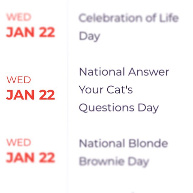 It’s National Answer Your Cat’s Questions Day! Celebrate by answering this cat’s questions tonight at Battle of Wits: A Comedy Quiz Show!
$10 in advance (while supplies last)
$15 door
Doors 7:30/ Show 8:30!