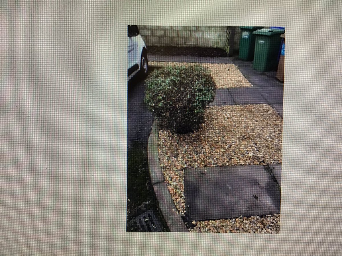 Landscape improvement works completed at Park Road in CHORLEY. From the very tired and unloved space on image 1, to much tidier images 2 and 3. Joint working PfP Place Team and PfP Landscapes. #workingtogether #placesforpeople