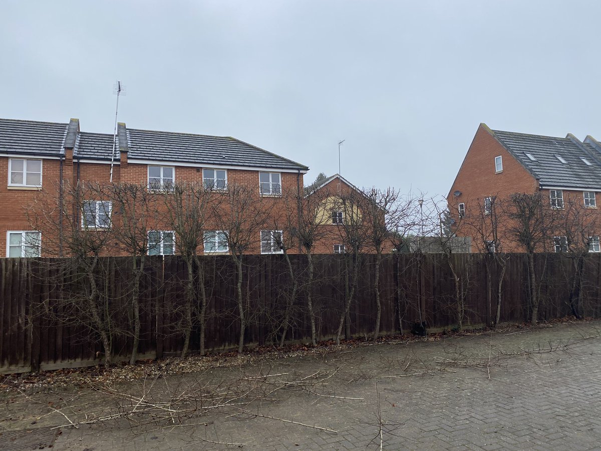 Next hedge for a trim today 👌🏼  #Maslinjones 
#MiltonKeynes 
#garden 
#gardener 
#gardening 
#gardenmaintenance 
#hedges
#hedgecutting 
#Stihlhedgecutter
#hedge
#prune
#trim
#hedgework  
#transformation
01908 483565
07715634822
Info@maslinjones.co.uk 
maslinjones.co.uk