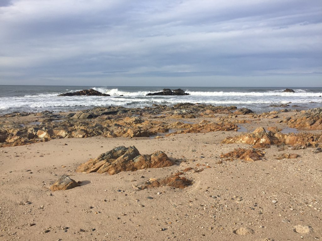 Sofi_HdzC's tweet photo. When you love your work, it’s easier to wake up in the morning. Especially on cold winter ones! #porto #omare https://t.co/Fx7OSvRTQl