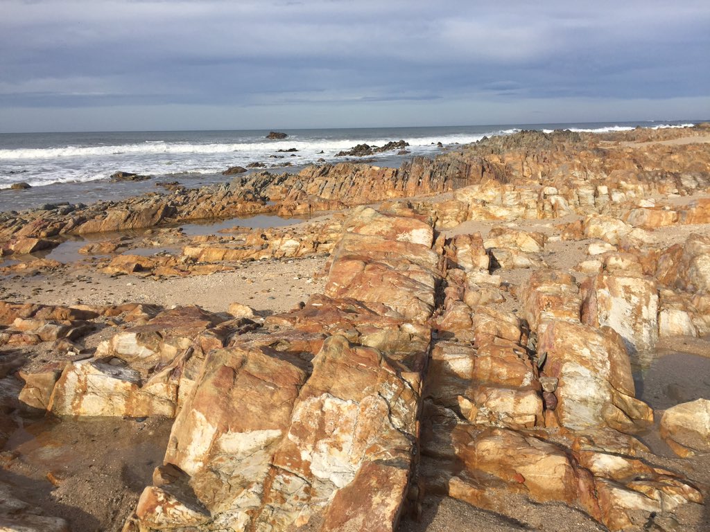 Sofi_HdzC's tweet photo. When you love your work, it’s easier to wake up in the morning. Especially on cold winter ones! #porto #omare https://t.co/Fx7OSvRTQl
