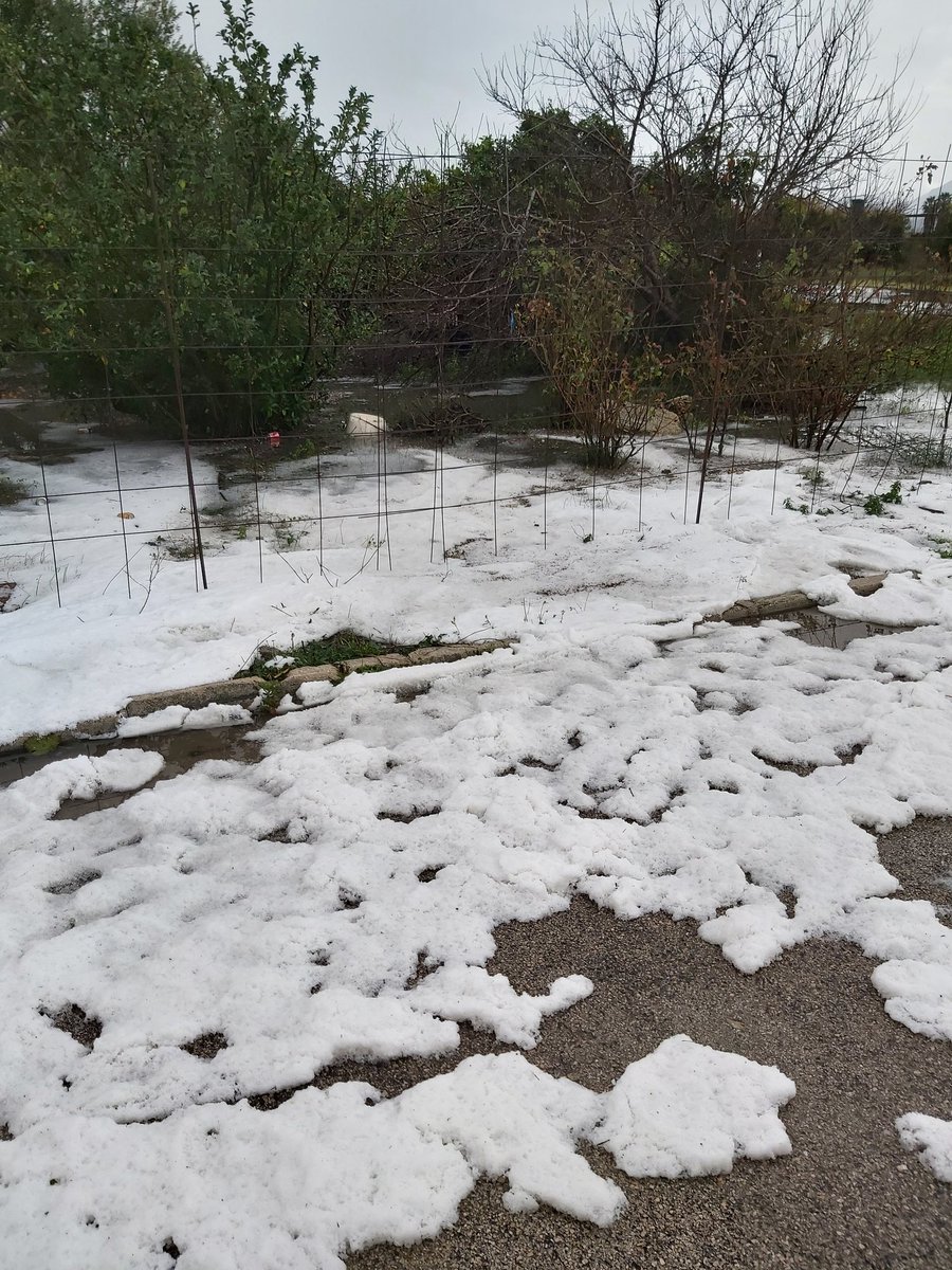 SergioNieto55's tweet photo. Gran granizada en la zona de Riola-Sueca hace unos minutos.
@AEMET_CValencia
@apuntnoticies #Gloria #TemporalApunt https://t.co/dNLRdf54h2
