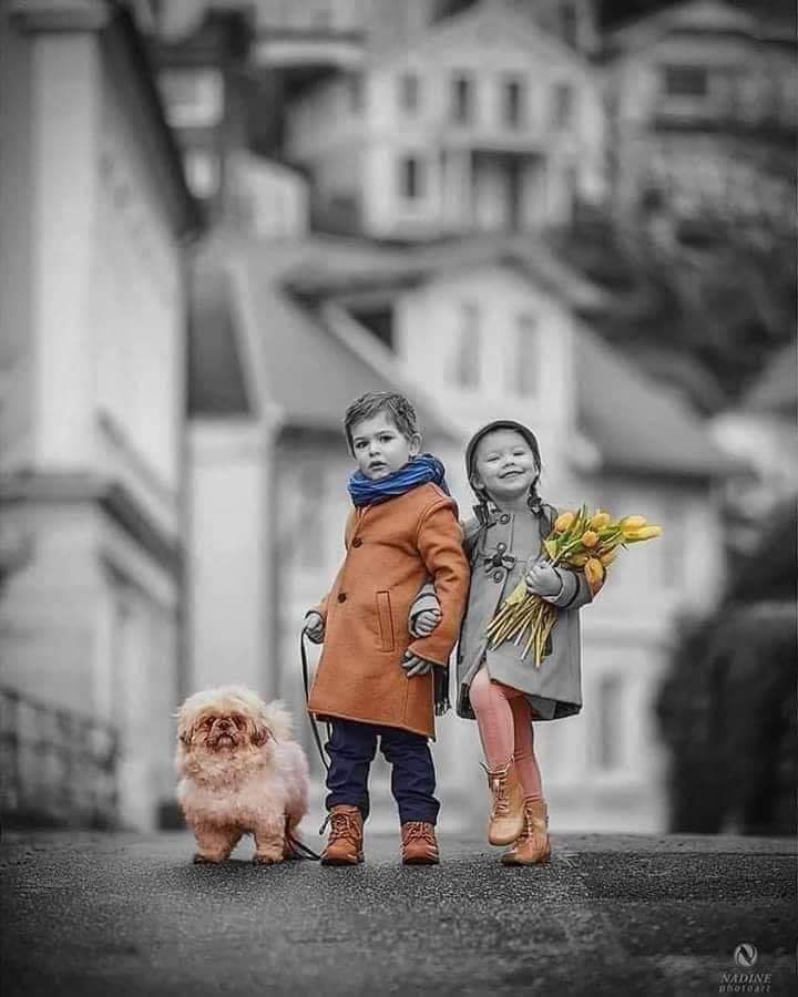 من أجمل المشاعر اللي ممكن تقدمها للشخص اللي قدامك هي إنك تطمن قلبه.. إنك تهون عليه تعبه وخوفه.. إنك تحسسه بقيمته وقد إيه إنه وجوده مهم في حياتك.. مشاعر ممكن تتخيل إنها بسيطة بس في الحقيقة بتفرق كتير في نفسية اللي قدامك❤